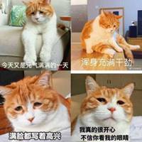 又是充满希望的一天表情包微信头像图片大全