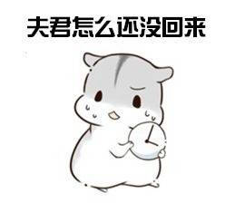 仓鼠夫君表情包堆糖,美好生活研究所