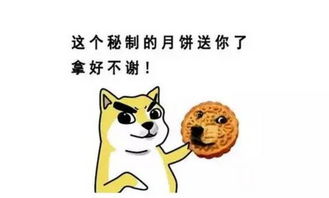 大学专业都有哪些学以致用的爆笑故事原来还有这种操作啊