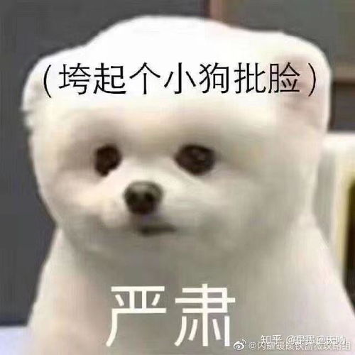 蹲有无下图类似的行楷硬笔字帖推荐问了下图的原博主,ta说没练过字