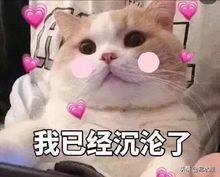 小仙女在干嘛表情包杨蓓蓓