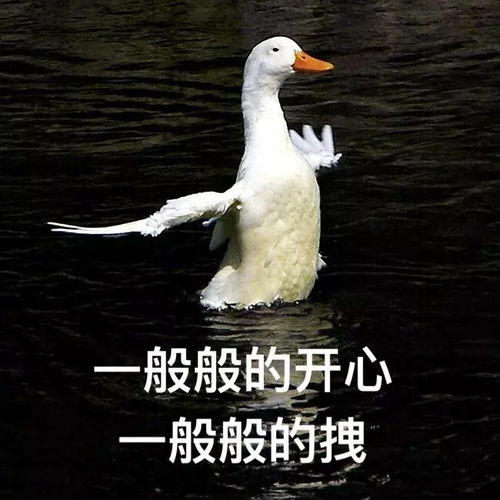 鸭鸭表情又来啦快来收图了鸭