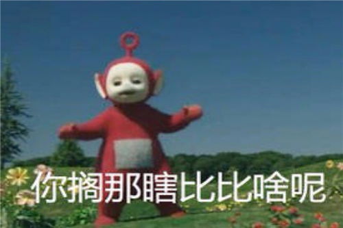 大半夜笑出猪声表情包报到
