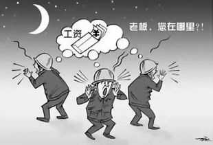 我走过最长的路,是挖机行业的套路