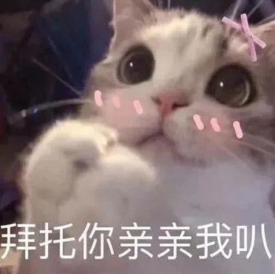 跟对象撒娇必备的表情包