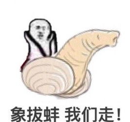 皮皮虾表情包zol下载