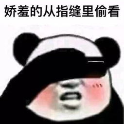 pythonjava爬取个人博客信息导出到excel