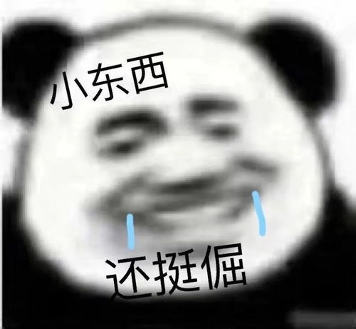 沙雕表情包做猪呢主要是开心