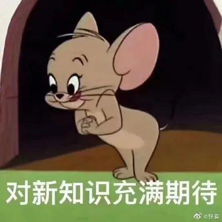 黄皮耗子表情包尾巴