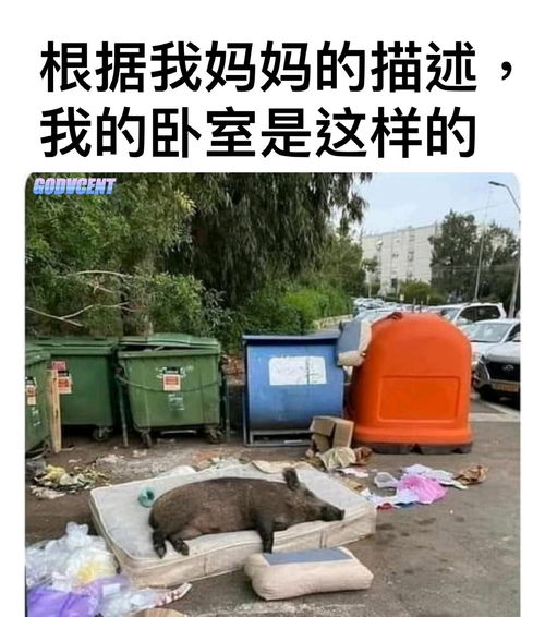 28梗图,沙雕图,memes,地狱笑话,表情包,搞笑图片,搞笑gif动图日更侵删哔哩哔哩