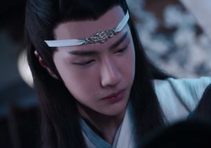 陈情令哭戏比拼,羡羡心疼,汪叽唯美,舅舅哭成表情包