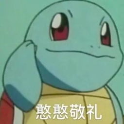 杰尼龟表情包