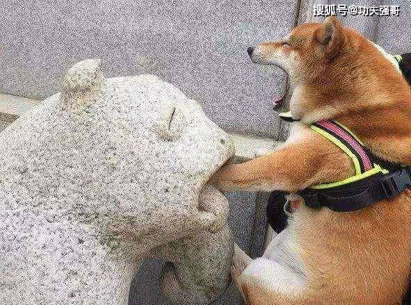 搞笑gif段子倒车请注意,撞到不负责