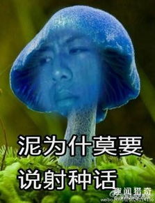 蓝瘦,香菇这个梗刷爆了票圈,最新表情包请收好