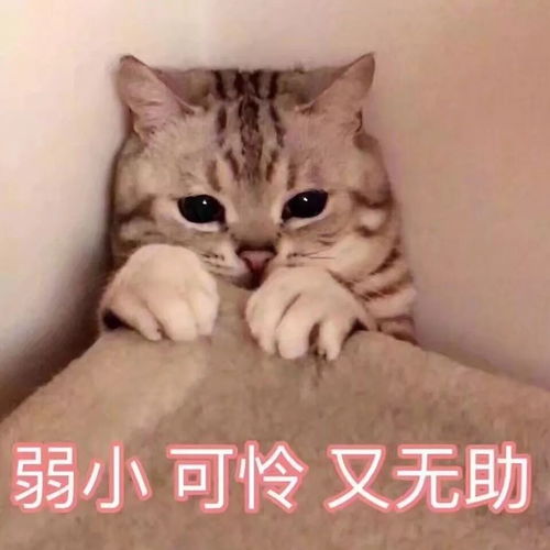 明天1400广东考生都在关注