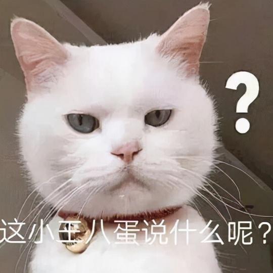 猫咪犯错后常见的8种反应,你家是哪一种