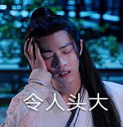陈情令热门表情包合集不愧是我,雨你无瓜,我太难了