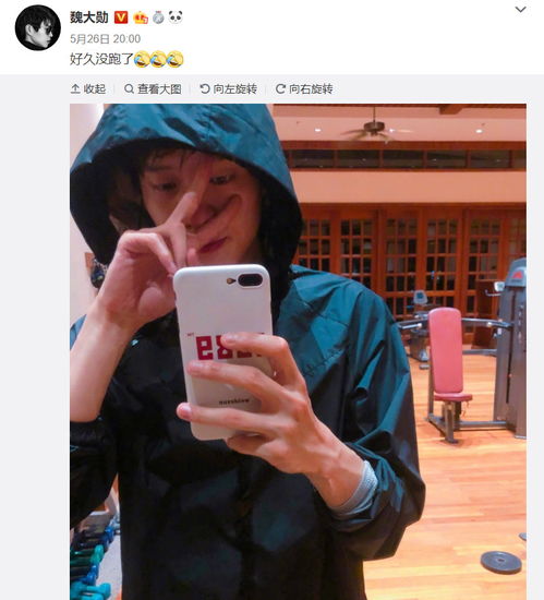 微博杨幂表情包魏大勋