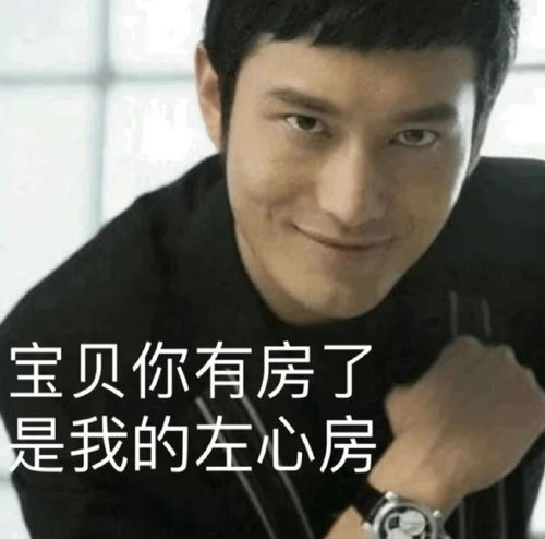 黄晓明表情包黄晓明土味情话表情包图片