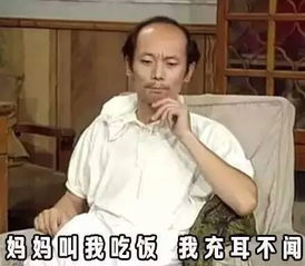 我的天英文表情包葛优