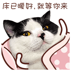 麦粒酥微信表情真猫版上架啦