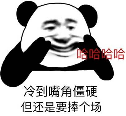 沙雕熊猫头表情包