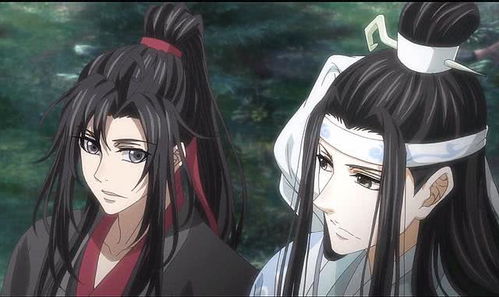 魔道祖师在魏无羡心中,师姐和蓝忘机谁的地位更高