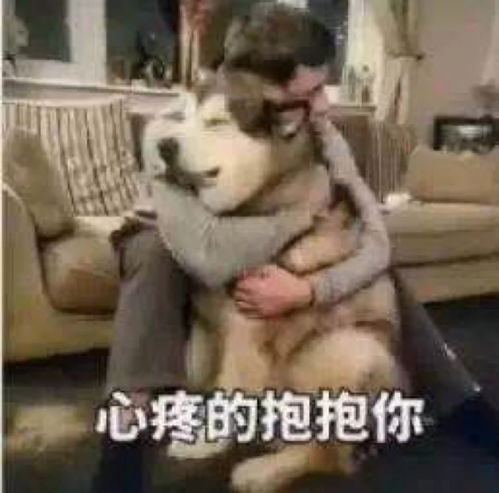 suki美妆i9月超级变美日,部分惊喜折扣买一赠一