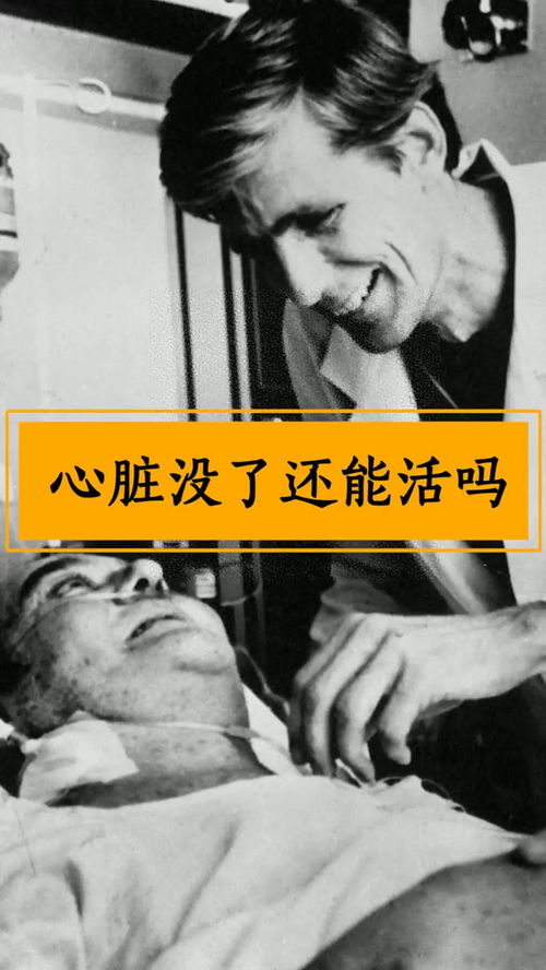 他被切除心脏,却靠一个背包多活了555天