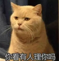 康建翊给大家普及一些既健康又能减肥的食物