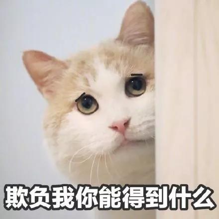 表情包我有个朋友问你,想不想找对象