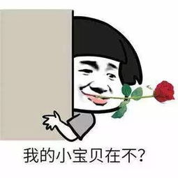 凉爽的时光总这么短暂,海南明天又将回归烘烤模式