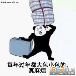 有钱没钱回家过年图片大包小包回家过年的表情包下载乐游网游戏下载