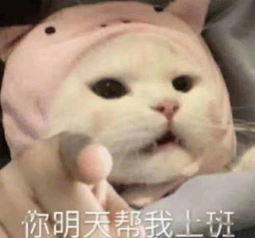 我不辛苦,命苦丨第191期喵表情