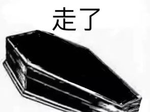 最全熊猫头棺材系列表情包暴雨天气被安排的明明白白﹃