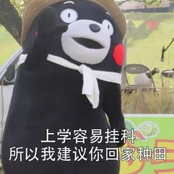 我有个不成熟的小建议,你可以拿笔记一下