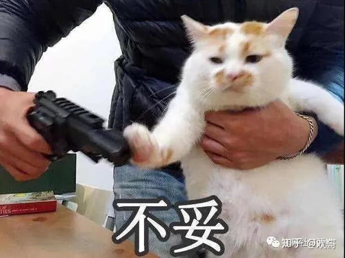 负债过高,教你如何申请信用卡,不被拒