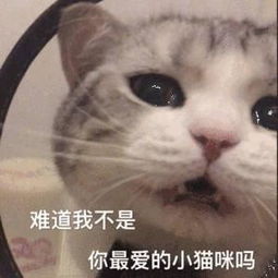 表情包我只想打游戏