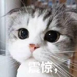 最低3这波冷空气来势汹汹但过年天气却是这样
