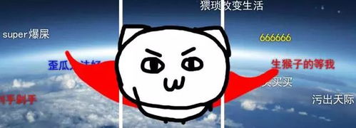 万万没想到,我被表情包骗进了一家淘宝店