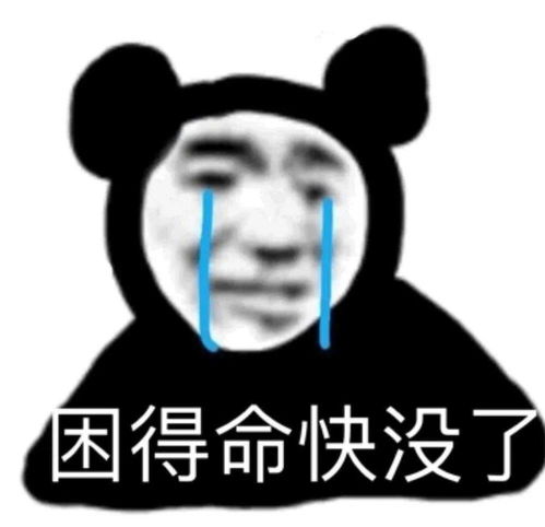 今日份表情包