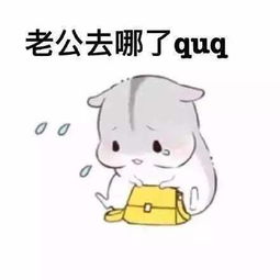 仓鼠叫老公的表情包