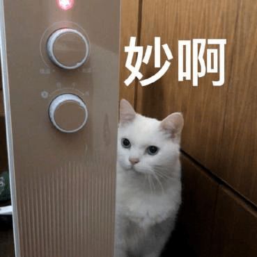 活动预告阳光社区健康生活同济大学2020年学生社区文化节报名啦