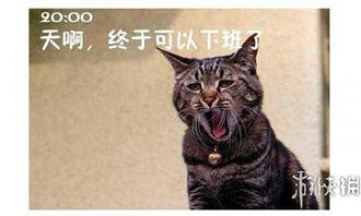 终极未解之谜中午吃什么办公室大楼10件灵异事件