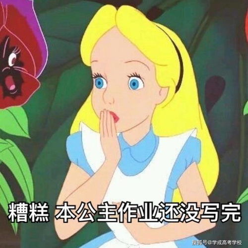 火上热搜的公主学习法,太羞耻了