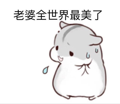 可爱仓鼠夫妇表情包