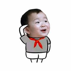 抖音升国旗全套表情包大全