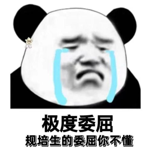 斗图表情包熊猫头医学生