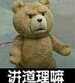 这只熊叫什么