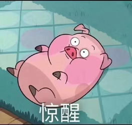 旅途中,发生过什么事情让你一下就颠覆了对这个旅行目的地的看法